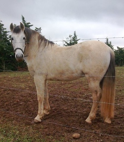 Photo de profil de nathsofy