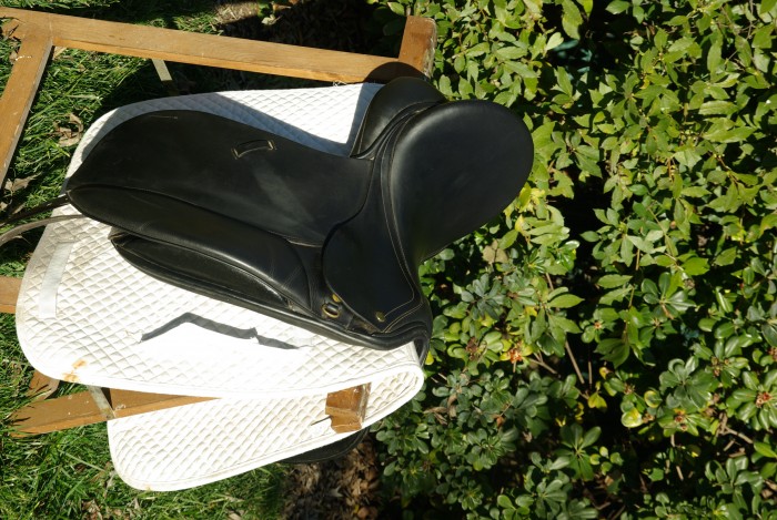 Photo de profil de kma22