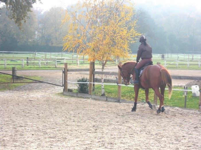Photo de profil de coco18