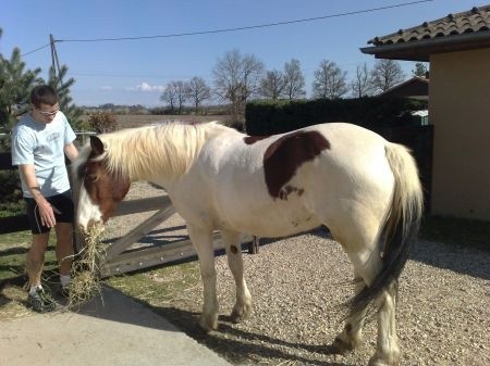 Photo de profil de altod