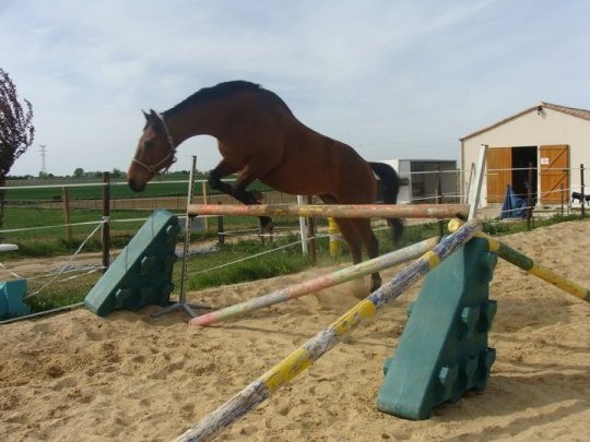 Photo de profil de mellehrose