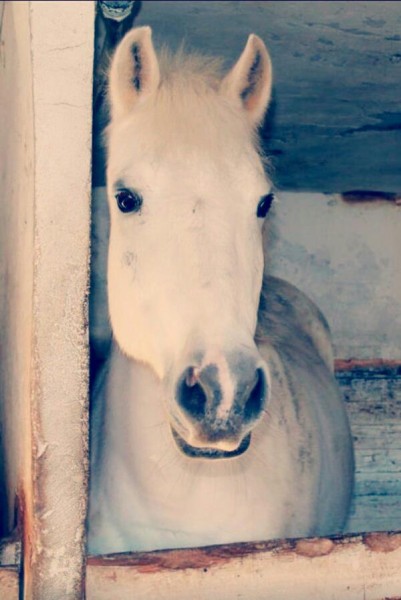 Photo de profil de choubidou2505