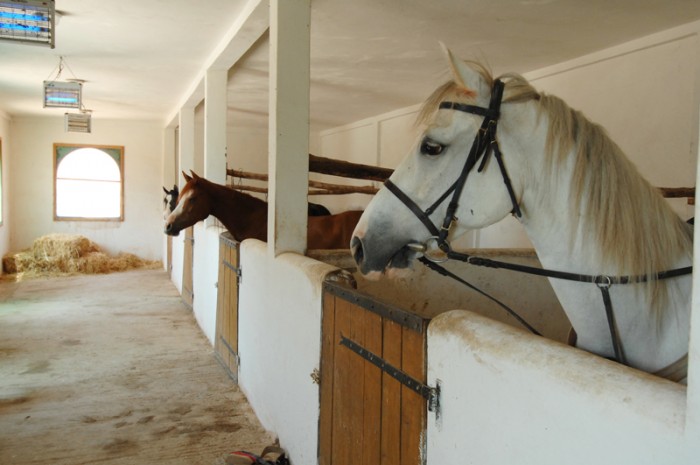 Photo de profil de homemarrakech
