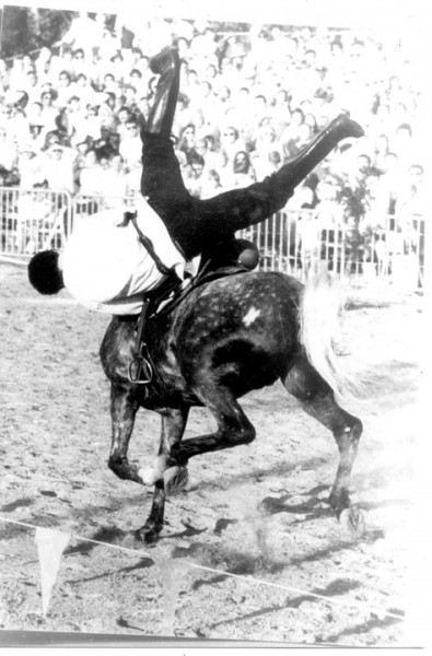 Photo de profil de cosaque33