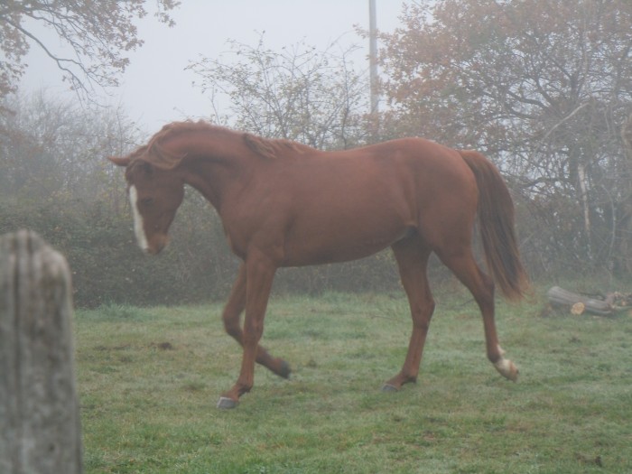 Photo de profil de varcos