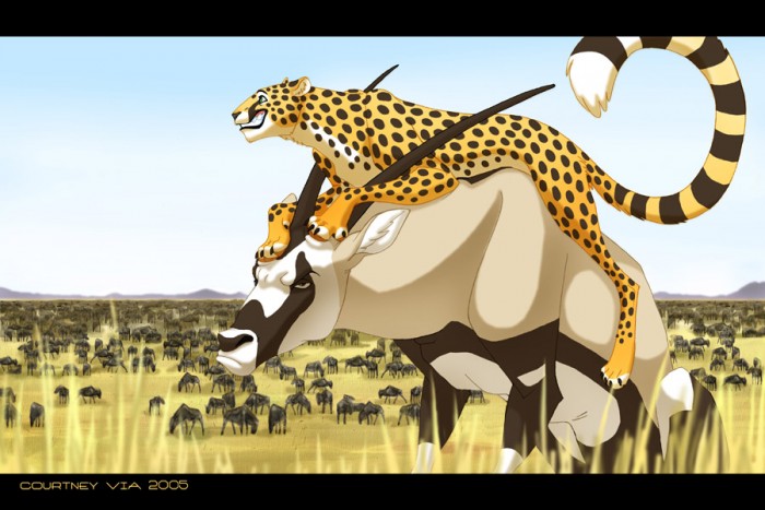 Photo de profil de minadu29