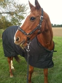 Photo de profil de elodiejesy