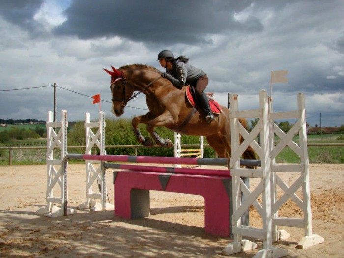 Photo de profil de manon031