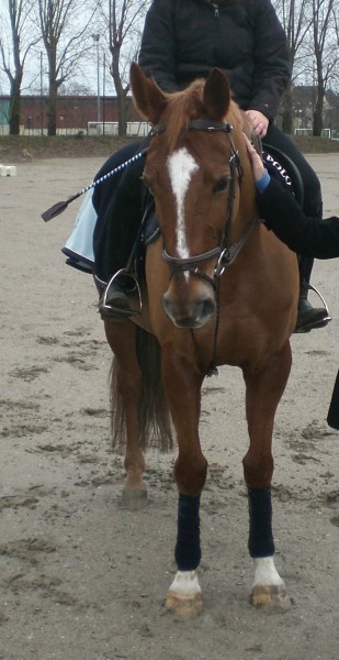 Photo de profil de gaelle76