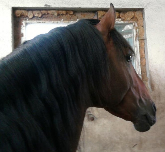 Photo de profil de morticia9086