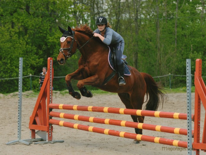 Photo de profil de caval77