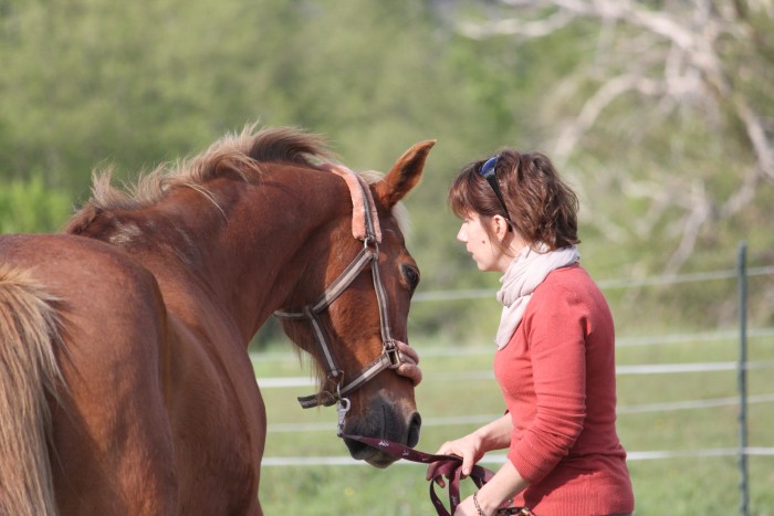 Photo de profil de puce33