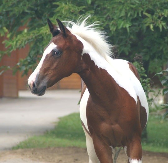 Photo de profil de jeannete