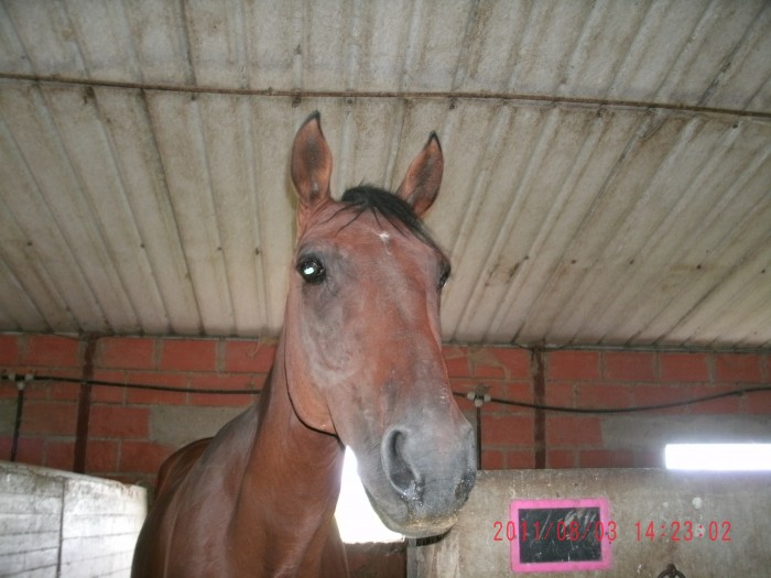 Photo de profil de gatoune1108