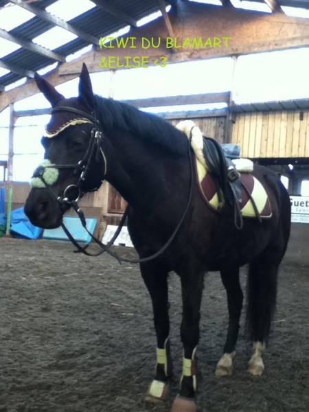 Photo de profil de elisemimi59189