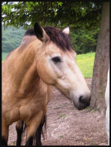 Photo de profil de antoine55