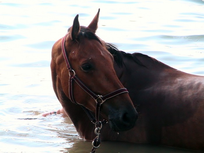 Photo de profil de pauline52140
