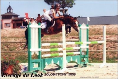 Photo de profil de elevegedulook