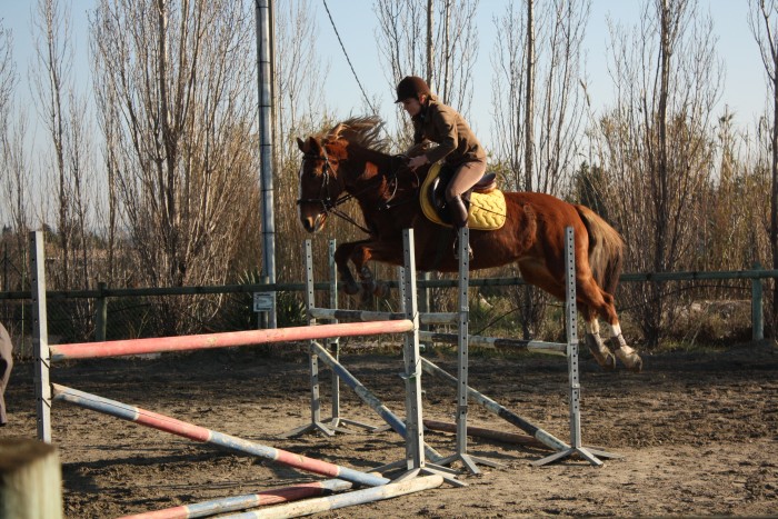 Photo de profil de cavaliersultane
