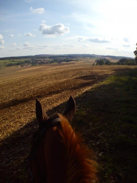 Photo de profil de elo.s