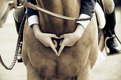 Photo de profil de xpony