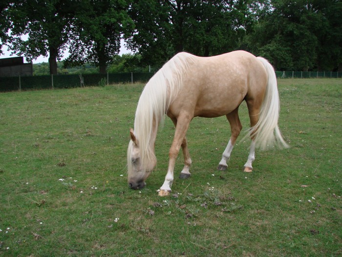 Photo de profil de hidalpheza60