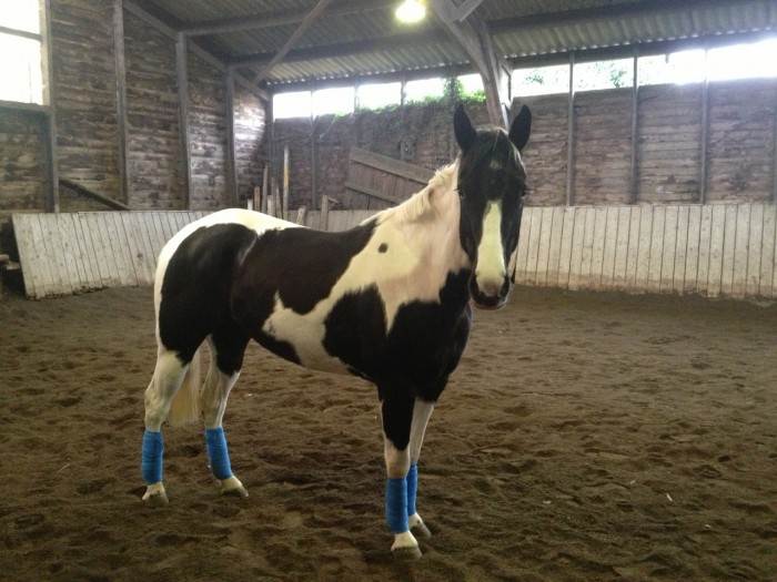 Photo de profil de lilouptilou