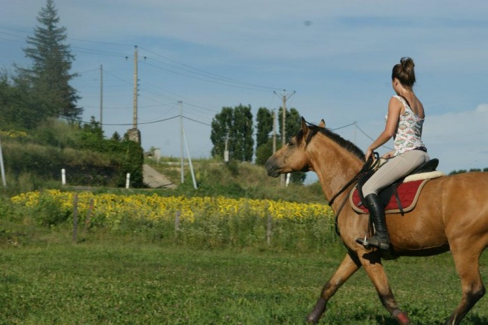 Photo de profil de arcadioe