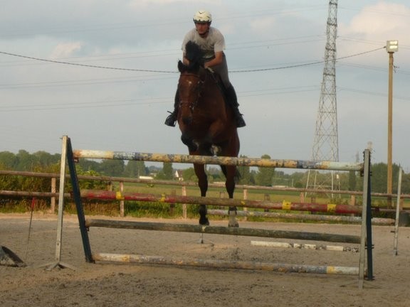 Photo de profil de voltimat
