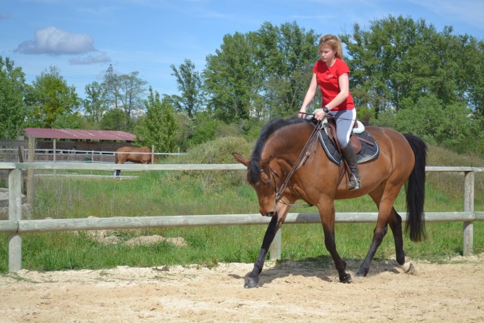 Photo de profil de cleoune