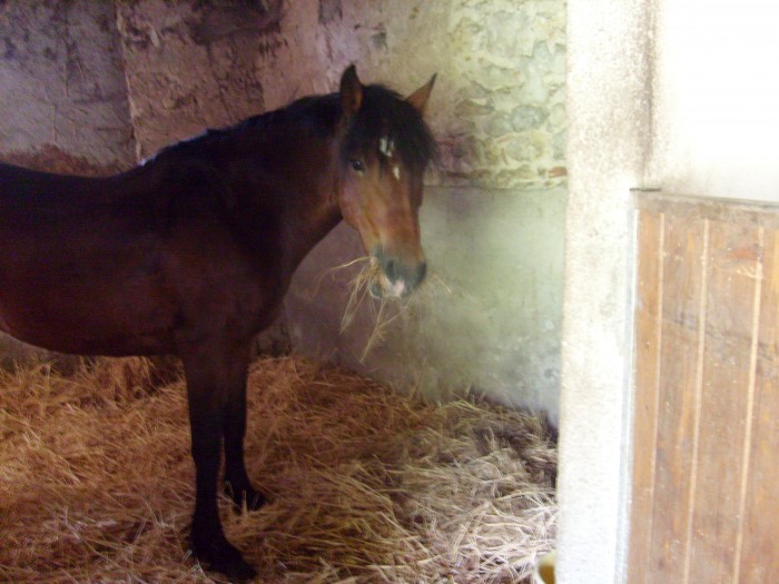 Photo de profil de pauline45600