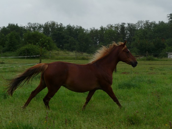 Photo de profil de ulaya