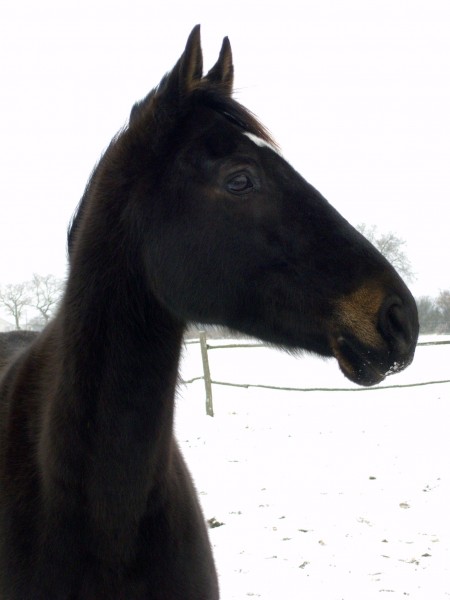 Photo de profil de wiwistar