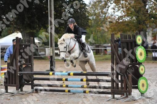 Photo de profil de camille144