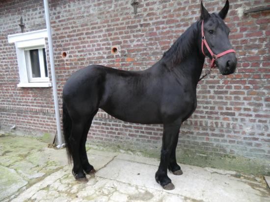 Photo de profil de lopez87