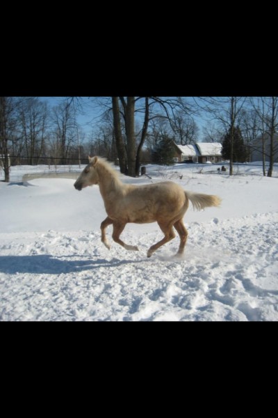 Photo de profil de joaniegenest