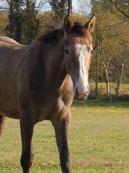 Photo de profil de monpseudoamoi