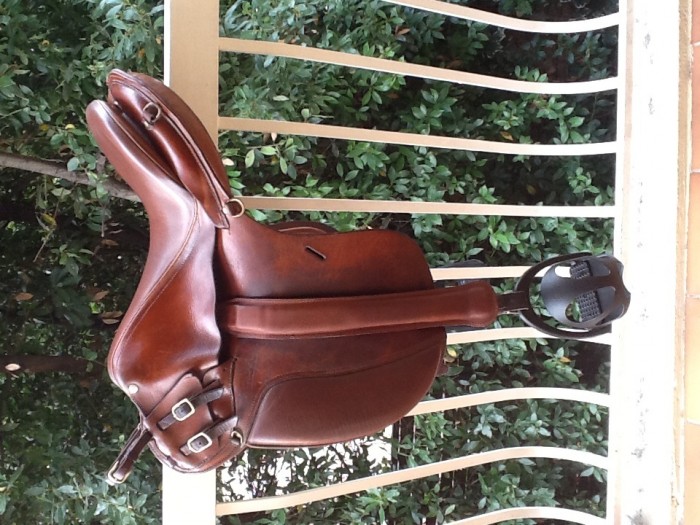 Photo de profil de rolco