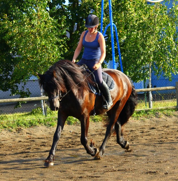 Photo de profil de noemiehoely