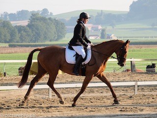 Photo de profil de n0uk96