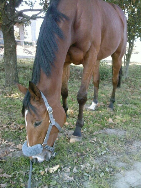 Photo de profil de elodie2303