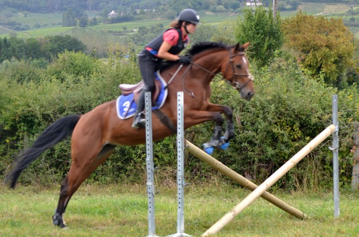 Photo de profil de tatchike