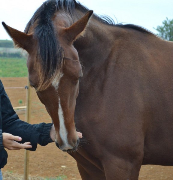 Photo de profil de aquabaflo