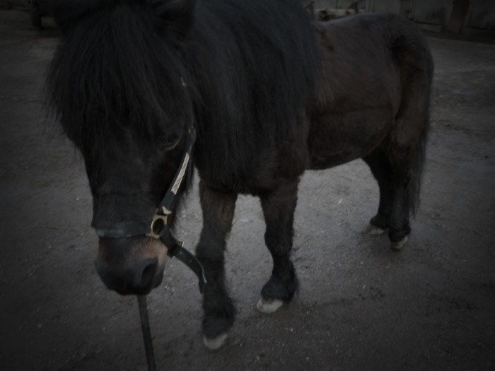 Photo de profil de guilty