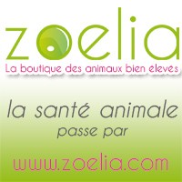Photo de profil de zoelia