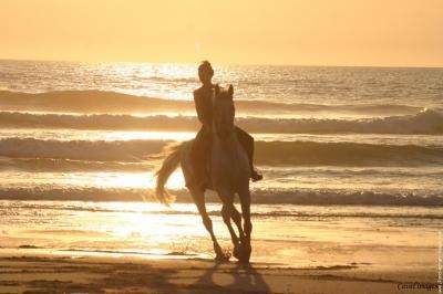 Photo de profil de linou75