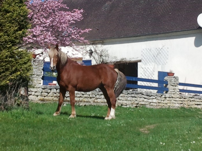 Photo de profil de biboubou