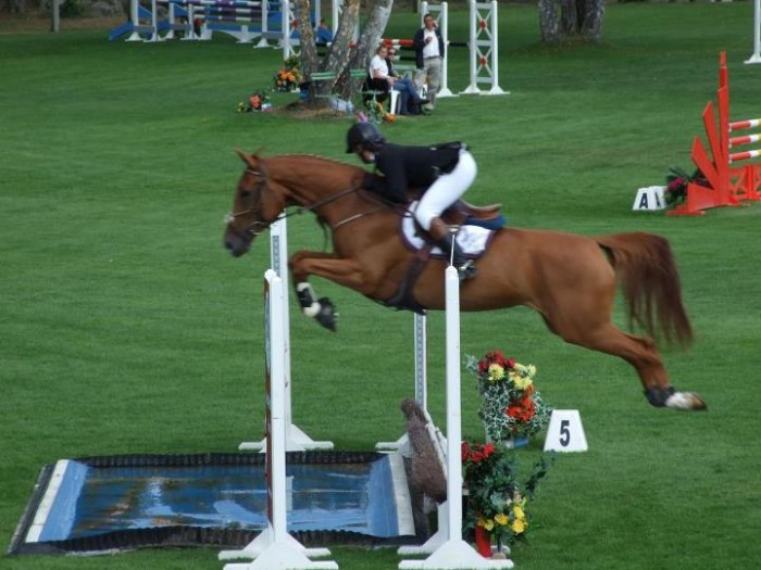 Photo de profil de safire9111