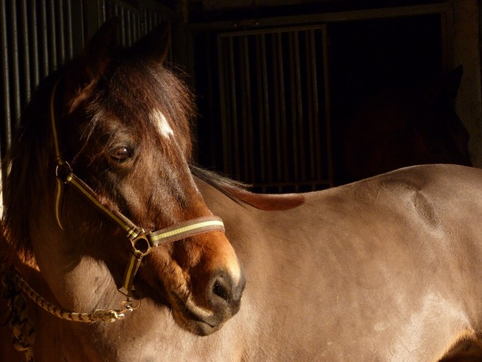 Photo de profil de tika87