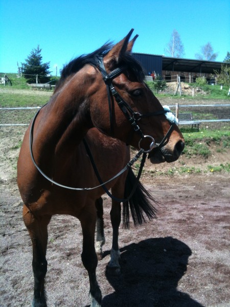 Photo de profil de quotus63